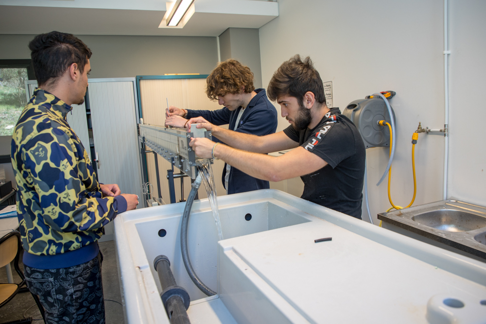 REPORTAGE PHOTO - CONCOURS POLYTECH GEIPI 1