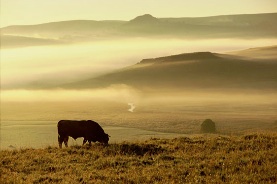 stage photographie nature